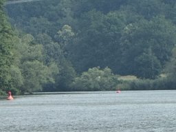 Mainschwimmen Juni 2026